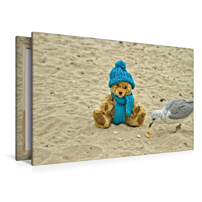 Premium Textil-Leinwand Premium Textil-Leinwand 120 cm x 80 cm quer Teddy Sammy am Strand