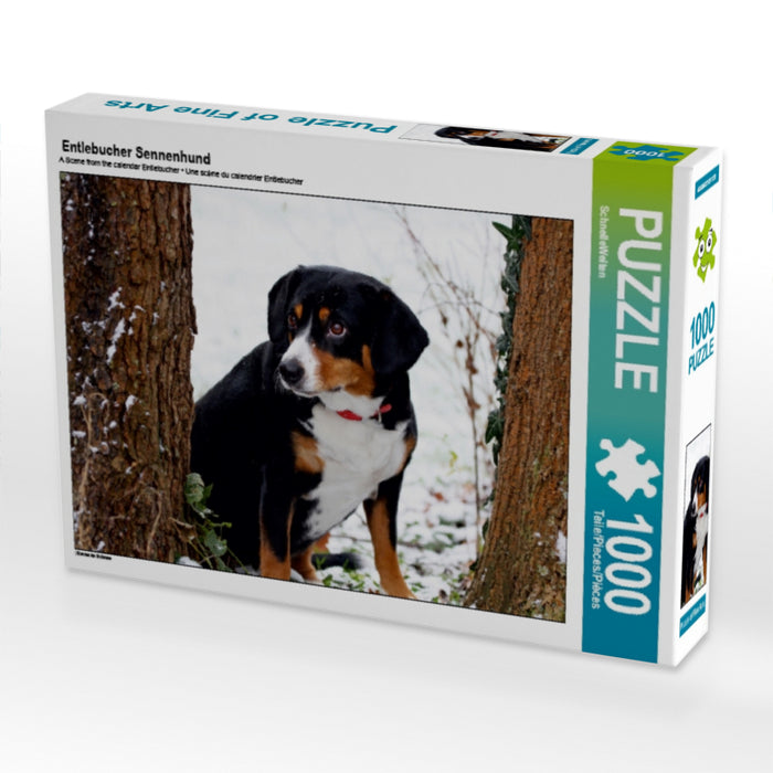 Entlebucher Sennenhund - CALVENDO Foto-Puzzle - calvendoverlag 29.99