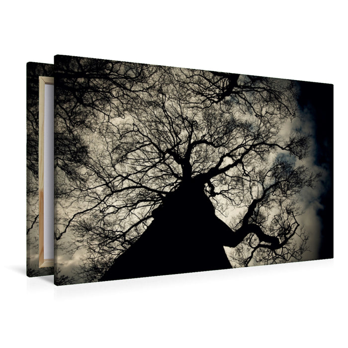 Toile textile premium Toile textile premium 120 cm x 80 cm paysage Arbre au crépuscule 