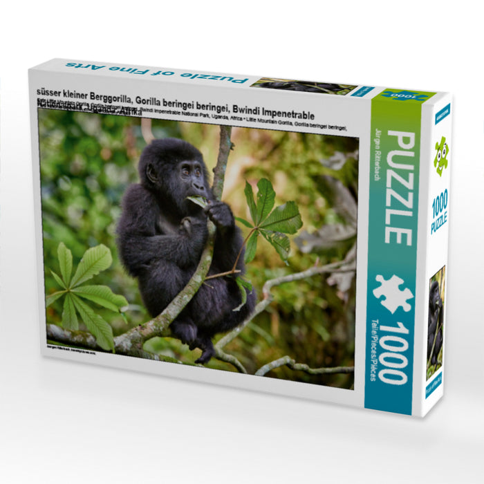süsser kleiner Berggorilla, Gorilla beringei beringei, Bwindi Impenetrable Nationalpark, Uganda, Afrika - CALVENDO Foto-Puzzle - calvendoverlag 29.99