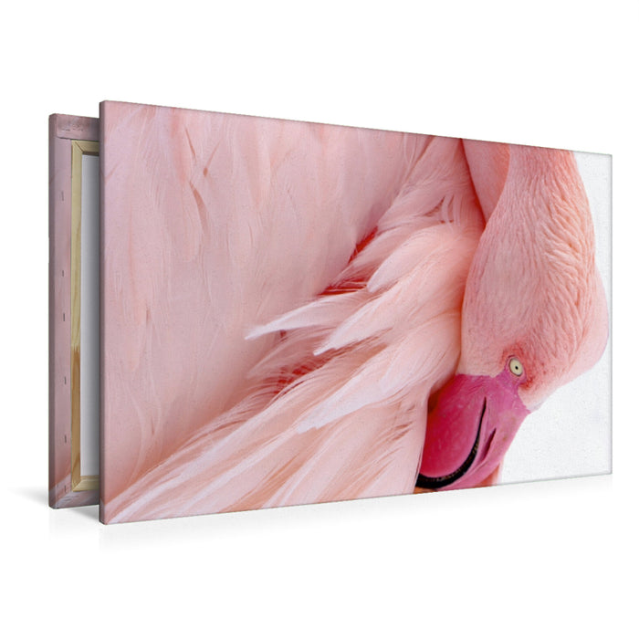 Premium Textil-Leinwand Premium Textil-Leinwand 120 cm x 80 cm quer Rosa Flamingo