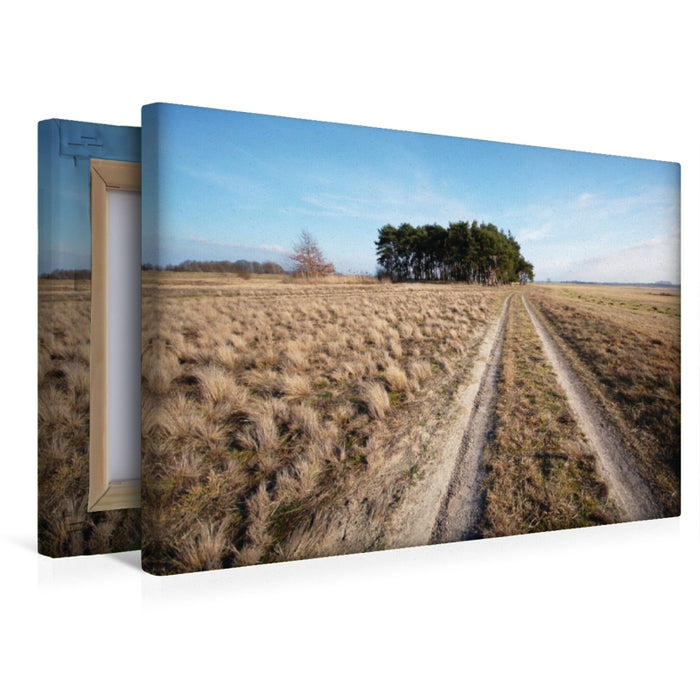 Premium textile canvas Premium textile canvas 45 cm x 30 cm across Sandweg. Landscape in Havelland. 