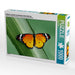 Schöner exotisch leuchtender Schmetterling - CALVENDO Foto-Puzzle - calvendoverlag 29.99