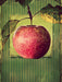Apfel im vintagelook - CALVENDO Foto-Puzzle - calvendoverlag 29.99