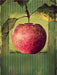Apfel im vintagelook - CALVENDO Foto-Puzzle - calvendoverlag 29.99