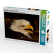 Greifvögel - Der Weißkopfseeadler - CALVENDO Foto-Puzzle - calvendoverlag 29.99