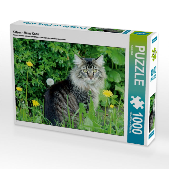 Katzen - Maine Coon - CALVENDO Foto-Puzzle - calvendoverlag 29.99