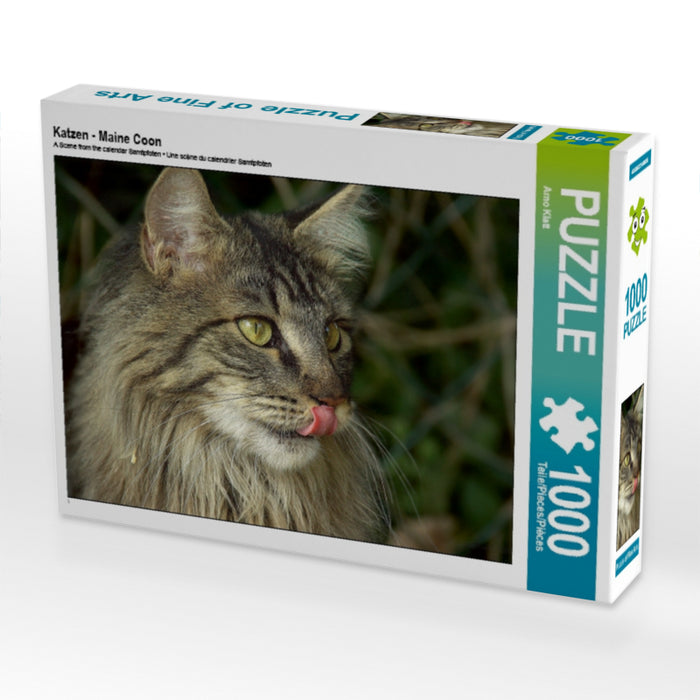 Katzen - Maine Coon - CALVENDO Foto-Puzzle - calvendoverlag 29.99