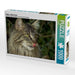 Katzen - Maine Coon - CALVENDO Foto-Puzzle - calvendoverlag 29.99