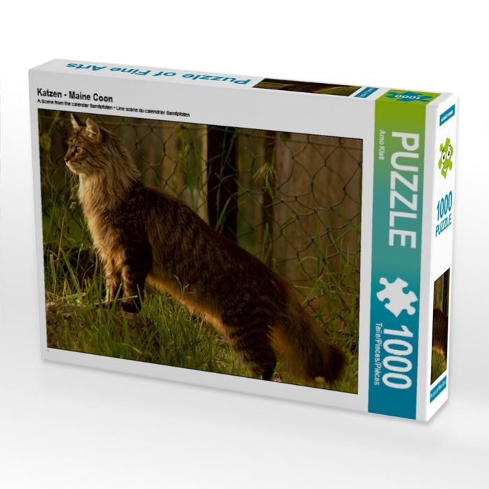 Katzen - Maine Coon - CALVENDO Foto-Puzzle - calvendoverlag 29.99