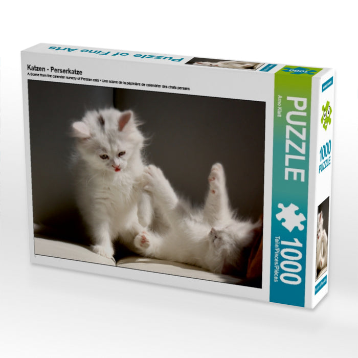 Katzen - Perserkatze - CALVENDO Foto-Puzzle - calvendoverlag 29.99