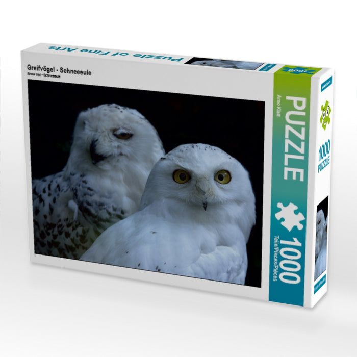 Greifvögel - Schneeeule - CALVENDO Foto-Puzzle - calvendoverlag 29.99