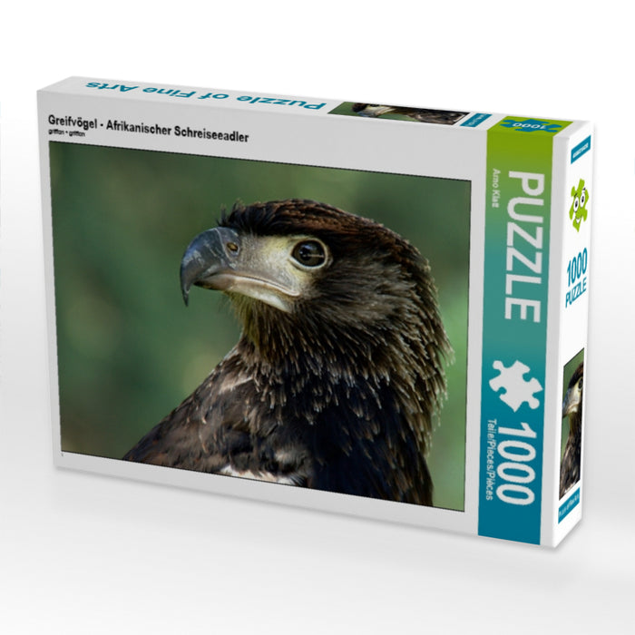 Greifvögel - Afrikanischer Schreiseeadler - CALVENDO Foto-Puzzle - calvendoverlag 29.99