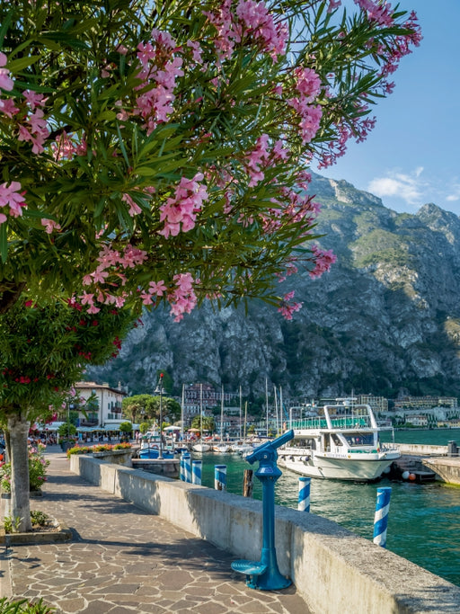 GARDASEE Hafen und Uferpromenade in Limone sul Garda - CALVENDO Foto-Puzzle - calvendoverlag 29.99