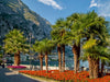 GARDASEE Prächtige Uferpromenade in Limone sul Garda - CALVENDO Foto-Puzzle - calvendoverlag 29.99