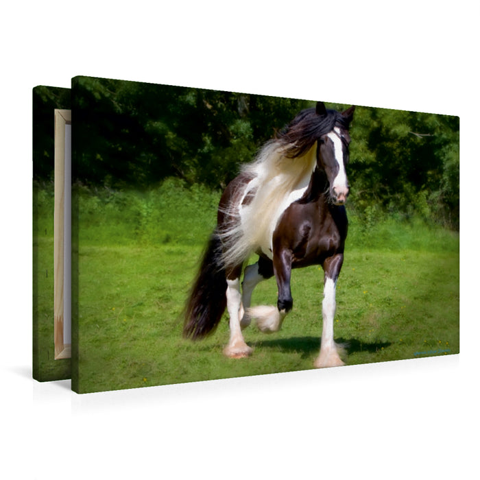 Premium Textil-Leinwand Premium Textil-Leinwand 90 cm x 60 cm quer Ein Motiv aus dem Kalender Gypsy Horses