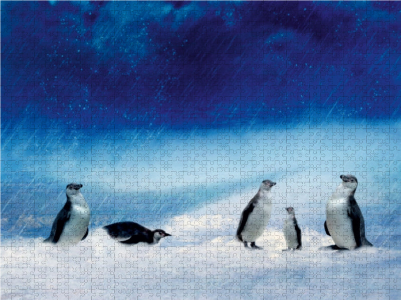 Lustige Pinguinfamilie im Schneesturm - CALVENDO Foto-Puzzle - calvendoverlag 29.99