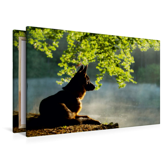 Premium Textil-Leinwand Premium Textil-Leinwand 120 cm x 80 cm quer Ein Motiv aus dem Kalender Deutscher Schäferhund Yack