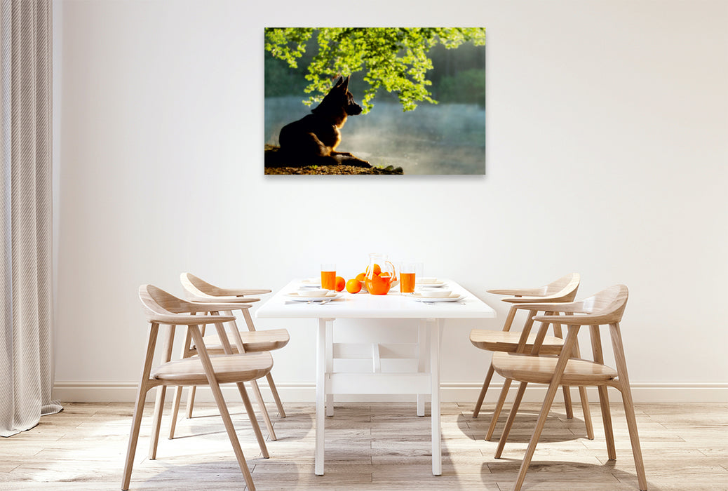 Premium Textil-Leinwand Premium Textil-Leinwand 120 cm x 80 cm quer Ein Motiv aus dem Kalender Deutscher Schäferhund Yack