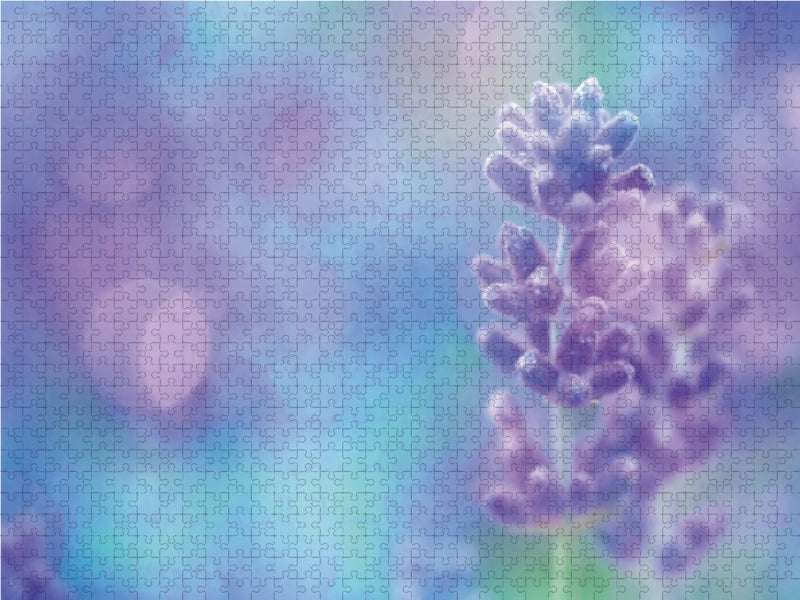 Romantischer Lavendel - CALVENDO Foto-Puzzle - calvendoverlag 29.99