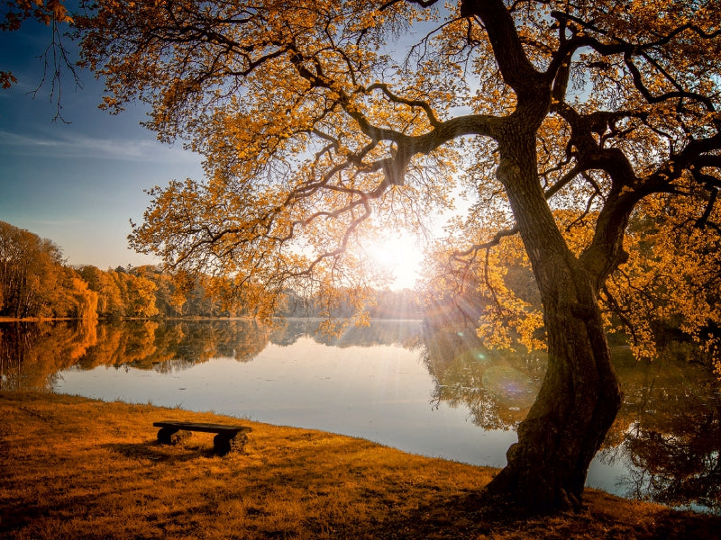 Herbstlicht - CALVENDO Foto-Puzzle - calvendoverlag 29.99