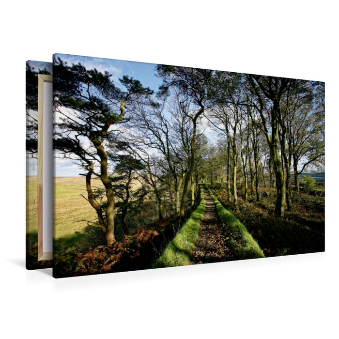 Premium Textil-Leinwand Premium Textil-Leinwand 120 cm x 80 cm quer Hadrianswall, Cumbria, Lake District, England