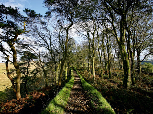 Hadrianswall, Cumbria, Lake District, England - CALVENDO Foto-Puzzle - calvendoverlag 29.99