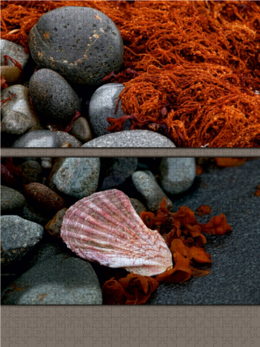 Steine und Muscheln am Strand - CALVENDO Foto-Puzzle - calvendoverlag 29.99