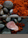 Steine und Muscheln am Strand - CALVENDO Foto-Puzzle - calvendoverlag 29.99