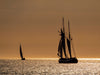 Windjammer auf der Ostsee im Abendlicht - CALVENDO Foto-Puzzle - calvendoverlag 29.99