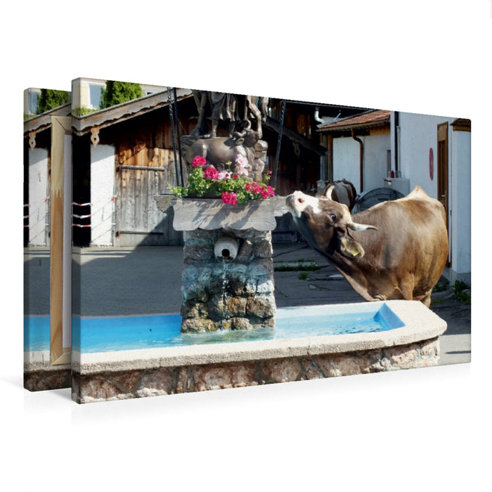 Toile textile haut de gamme Toile textile haut de gamme 75 cm x 50 cm paysage fontaine de Schwangau visiteur 