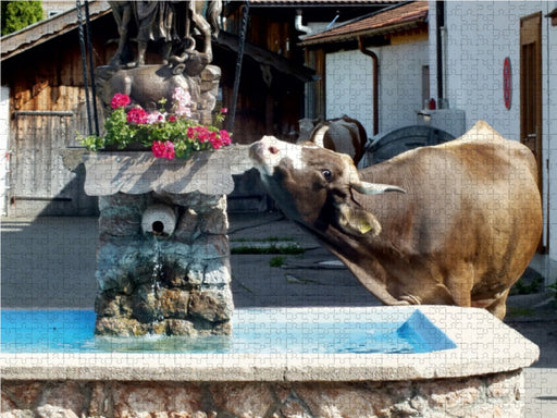 Schwangauer Brunnenbesucherin - CALVENDO Foto-Puzzle - calvendoverlag 29.99