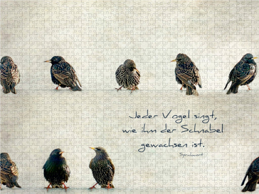 Jeder Vogel singt, wie ihm der Schnabel gewachsen ist - CALVENDO Foto-Puzzle - calvendoverlag 29.99