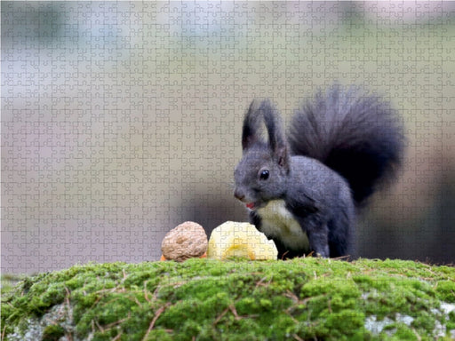 Als Nachtisch gab es heute mal ein Stück Apfel. Hat mir sehr gut geschmeckt... :-) - CALVENDO Foto-Puzzle - calvendoverlag 29.99