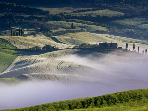 Gehöft im Val d'Orcia - CALVENDO Foto-Puzzle - calvendoverlag 29.99