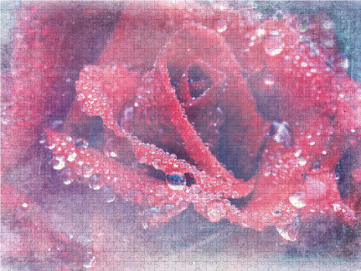 Romantische Rote Rose - Shabby Chic Style - CALVENDO Foto-Puzzle - calvendoverlag 29.99