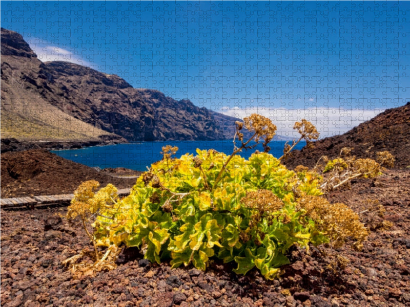 Landschaft auf Teneriffa - CALVENDO Foto-Puzzle - calvendoverlag 29.99