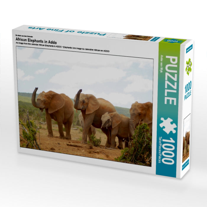 African Elephants in Addo - CALVENDO Foto-Puzzle - calvendoverlag 29.99