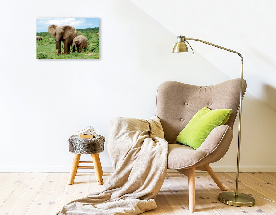 Premium Textil-Leinwand Premium Textil-Leinwand 45 cm x 30 cm quer Ein Motiv aus dem Kalender African Elephants in Addo