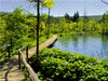 Die Plitvicer Seen - CALVENDO Foto-Puzzle - calvendoverlag 29.99