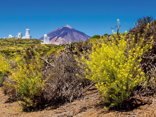 Vulkan Teide auf Teneriffa - CALVENDO Foto-Puzzle - calvendoverlag 29.99