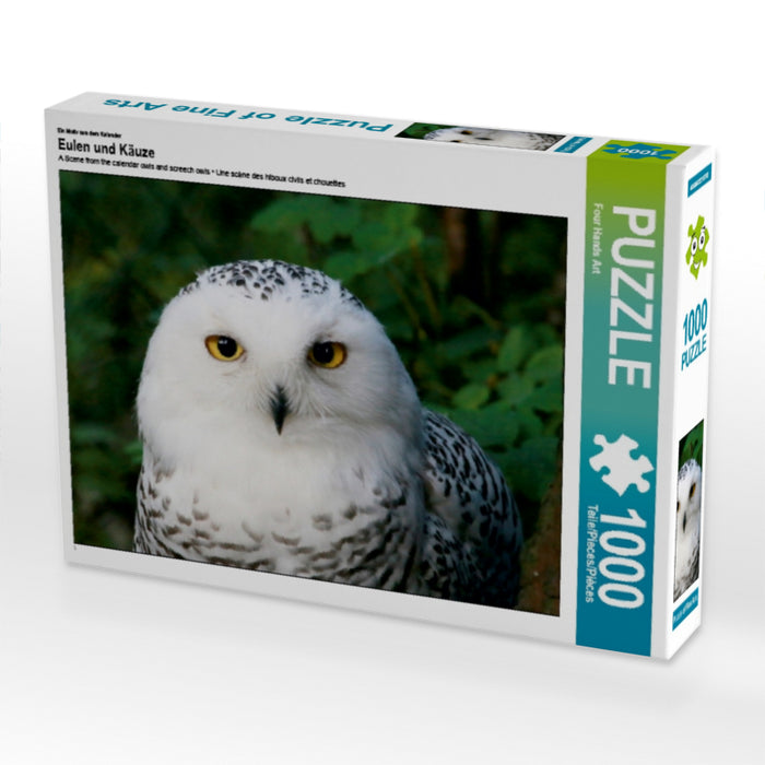 Eulen und Käuze - CALVENDO Foto-Puzzle - calvendoverlag 29.99