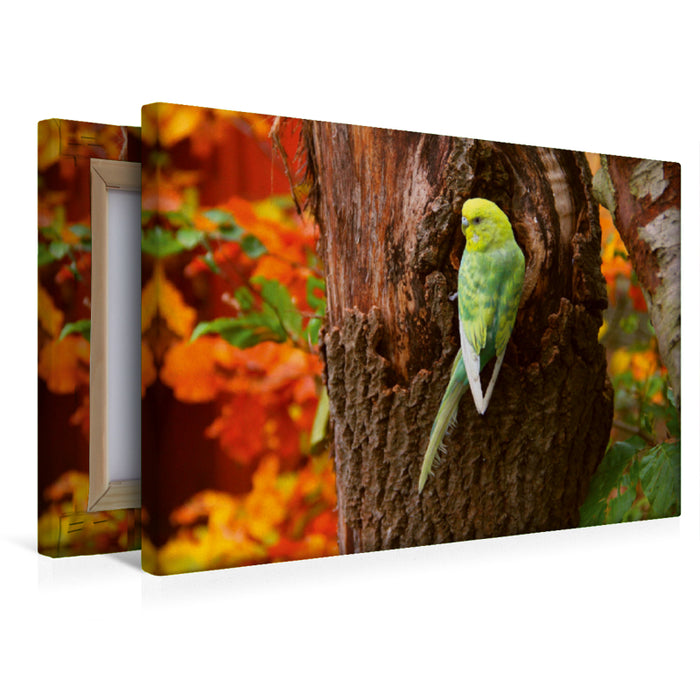 Toile textile premium Toile textile premium 45 cm x 30 cm paysage perruche dans la forêt d'automne 