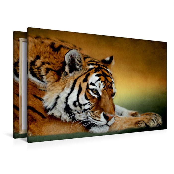 Premium Textil-Leinwand Premium Textil-Leinwand 120 cm x 80 cm quer Ruhender Sibirischer Tiger