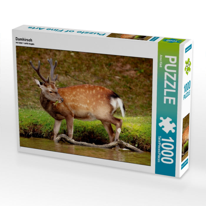 Damhirsch - CALVENDO Foto-Puzzle - calvendoverlag 29.99