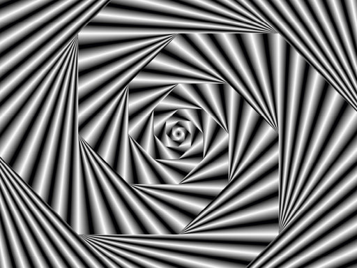 Zebra-Illusion - CALVENDO Foto-Puzzle - calvendoverlag 29.99