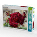 Zauberhafte Rosen - CALVENDO Foto-Puzzle - calvendoverlag 29.99