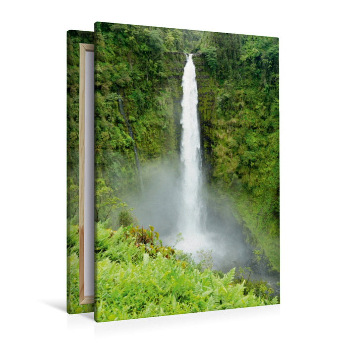 Premium Textil-Leinwand Premium Textil-Leinwand 80 cm x 120 cm  hoch Akaka Falls, Kauai