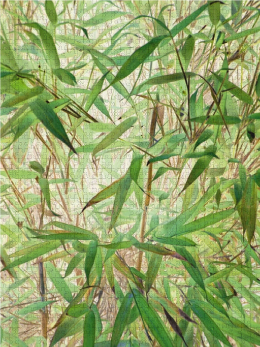 Belebender Bambus - CALVENDO Foto-Puzzle - calvendoverlag 29.99