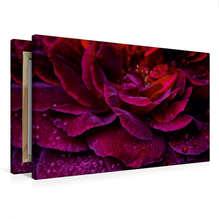 Toile textile premium Toile textile premium 75 cm x 50 cm paysage Rose Gothique - Scellé avec du sang 